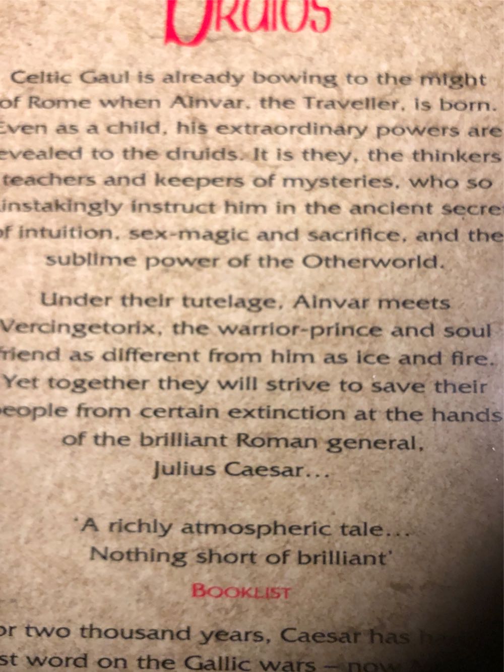 Druids - Morgan Llywelyn (Vintage) book collectible [Barcode 9780749308926] - Main Image 2