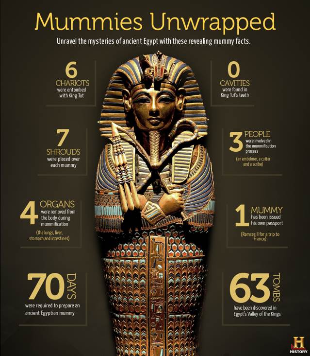 Mummies  (Kingfisher Books) book collectible [Barcode 9780753456231] - Main Image 1