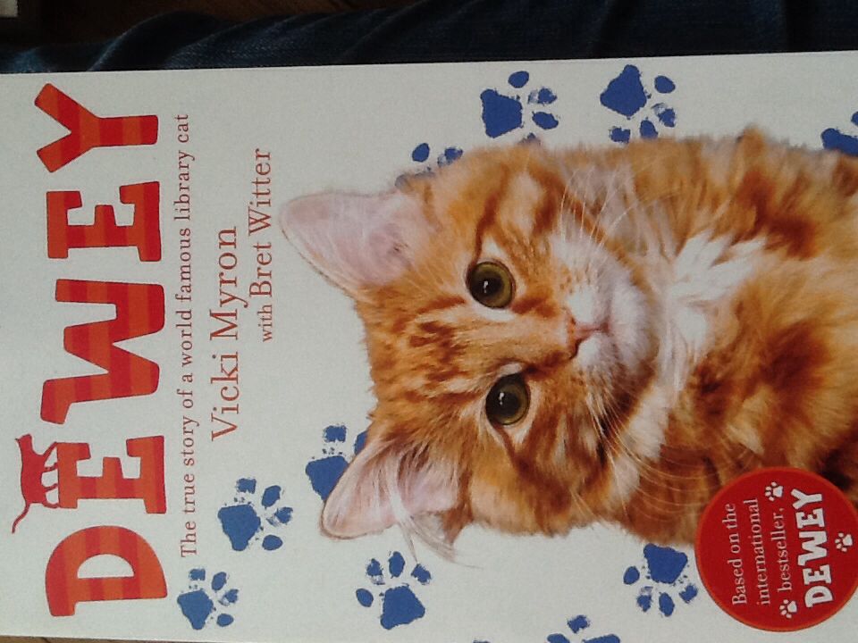 Iraq War: The Military Offensive, from Victory in 21 Days to the Insurgent Aftermath, The