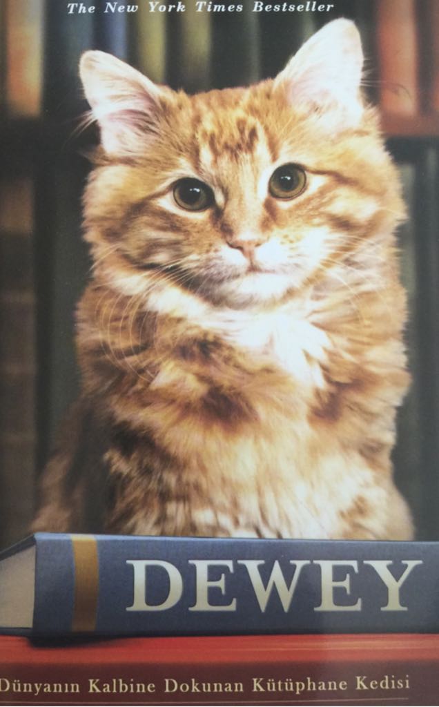 Dewey - Myron and book collectible [Barcode 9786055943578] - Main Image 1