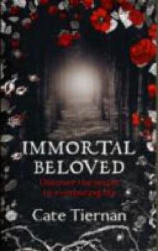 The Complete Guide To Night and Lowlight Digital Photography