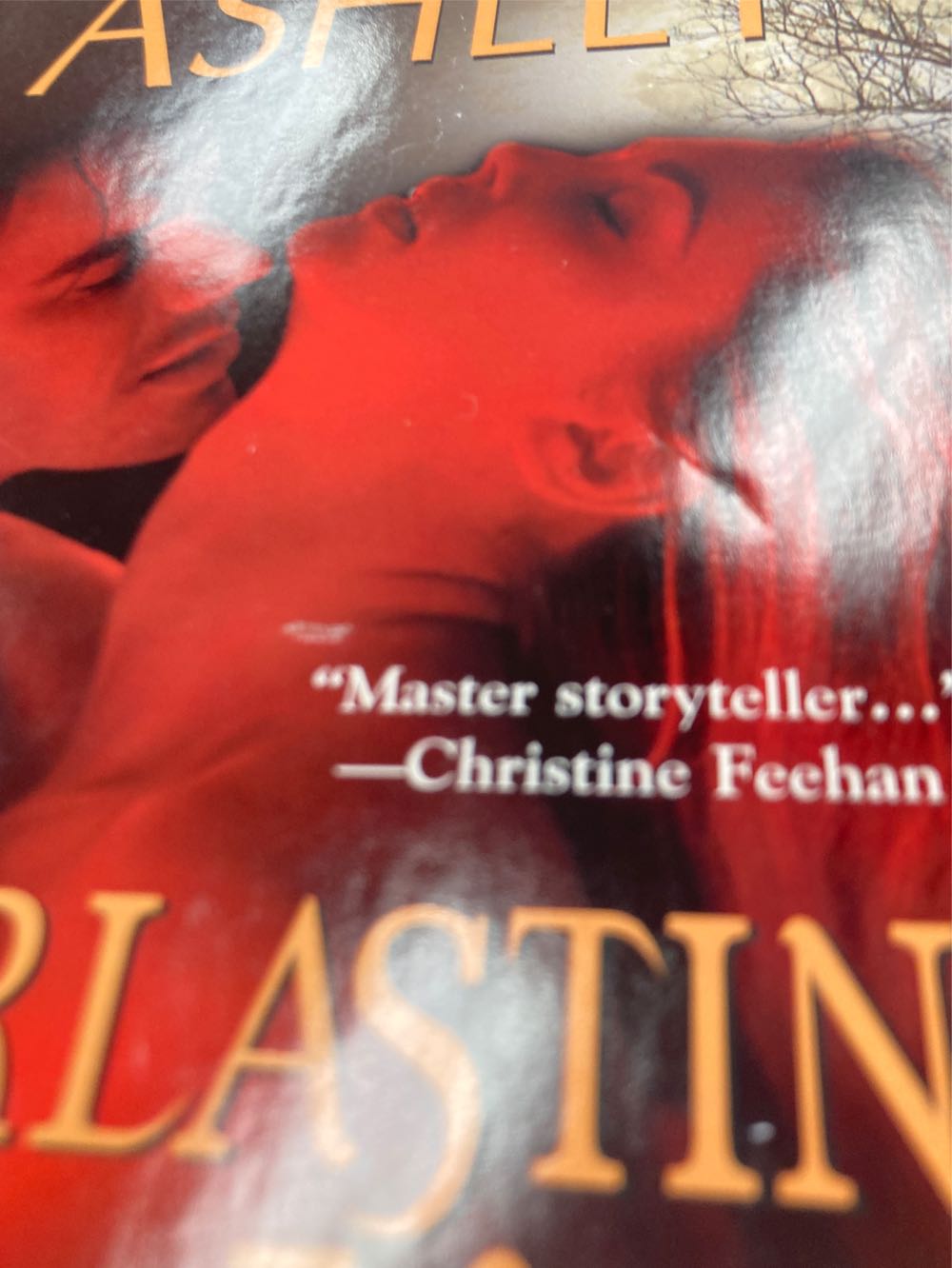 Everlasting Kiss - Amanda Ashley (Zebra Books - Hardcover) book collectible [Barcode 9781615239320] - Main Image 2