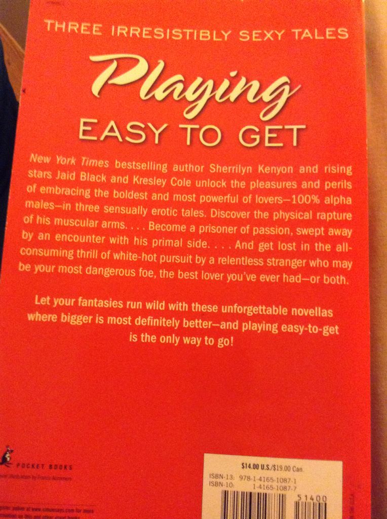 Turn Up The Heat - Sherrilyn Kenyon (Pocket Books - Trade Paperback) book collectible [Barcode 9781416510871] - Main Image 2