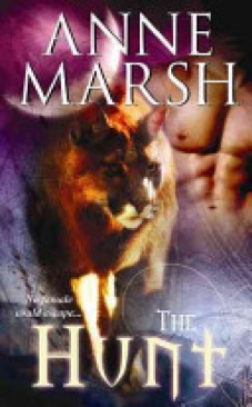 NG: The Constitution