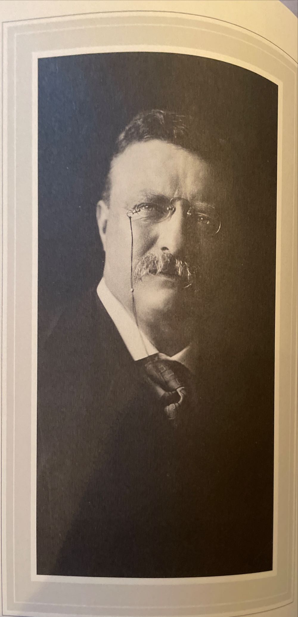 Theodore Rex, Volume II - Edmund Morris (Random House - Hardcover) book collectible [Barcode 9780394555096] - Main Image 4