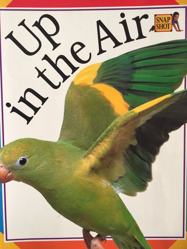 Up in the Air - Finbar Hawkins book collectible [Barcode 9781859480212] - Main Image 1