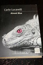 The Joyous Cosmology