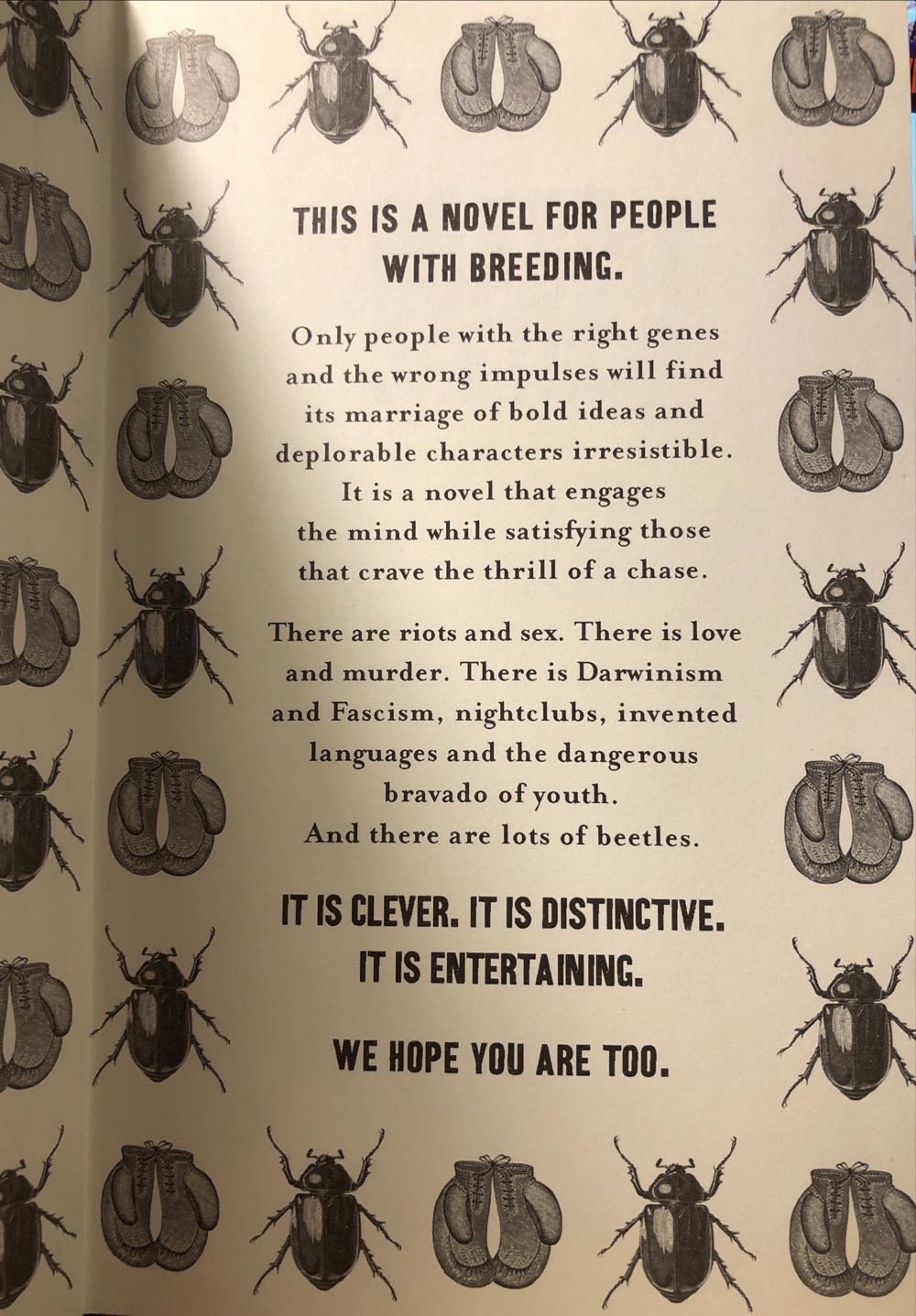 Boxer Beetle - Beauman, Ned book collectible [Barcode 9780340998397] - Main Image 3