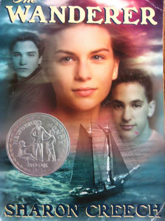 Die roten Stiefeletten