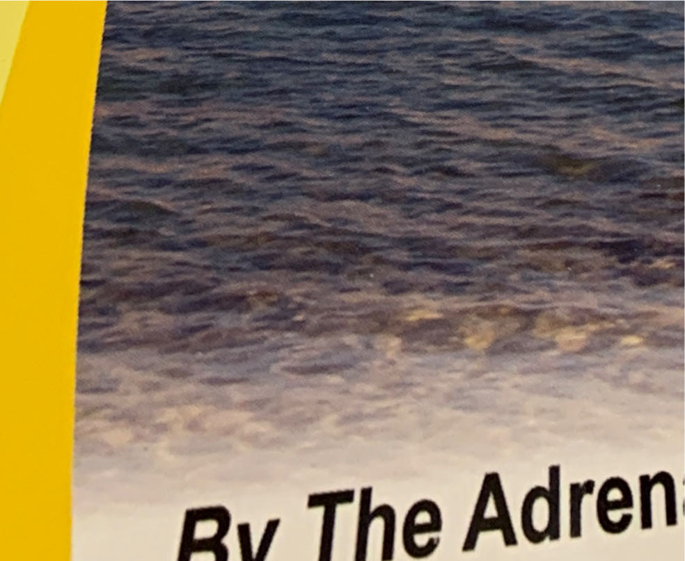 Adrenal Fatigue - Fatigue Adrenal book collectible [Barcode 9780980218800] - Main Image 2