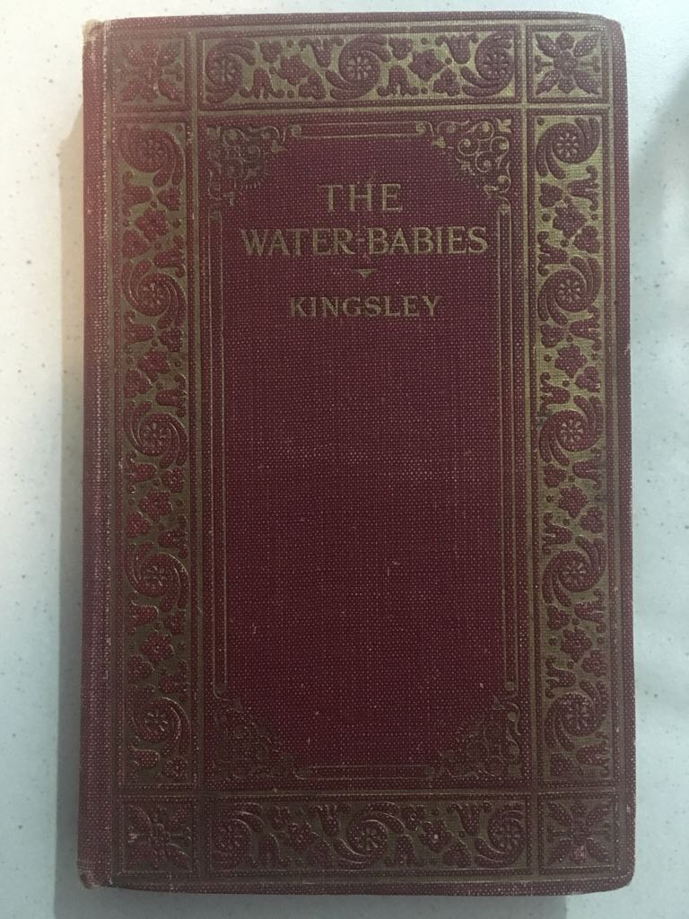 A Primer Of Drug Interaction
