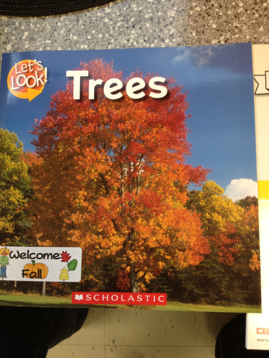 The Angels of Morgan Hill