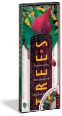 Mastering Visual Foxpro 3 Special Edition