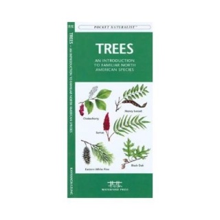 Secret Man: An American Warriors Uncensored Story - Frank Dux -- 1st e