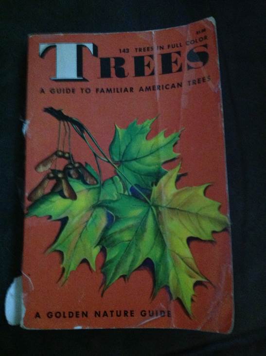 The Family Tree Problem Solver