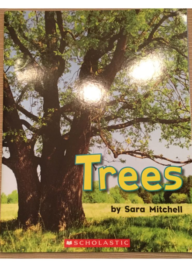 The Pocket Deer Hunting Guide: Successful Hunting with a Rife or Shotgun