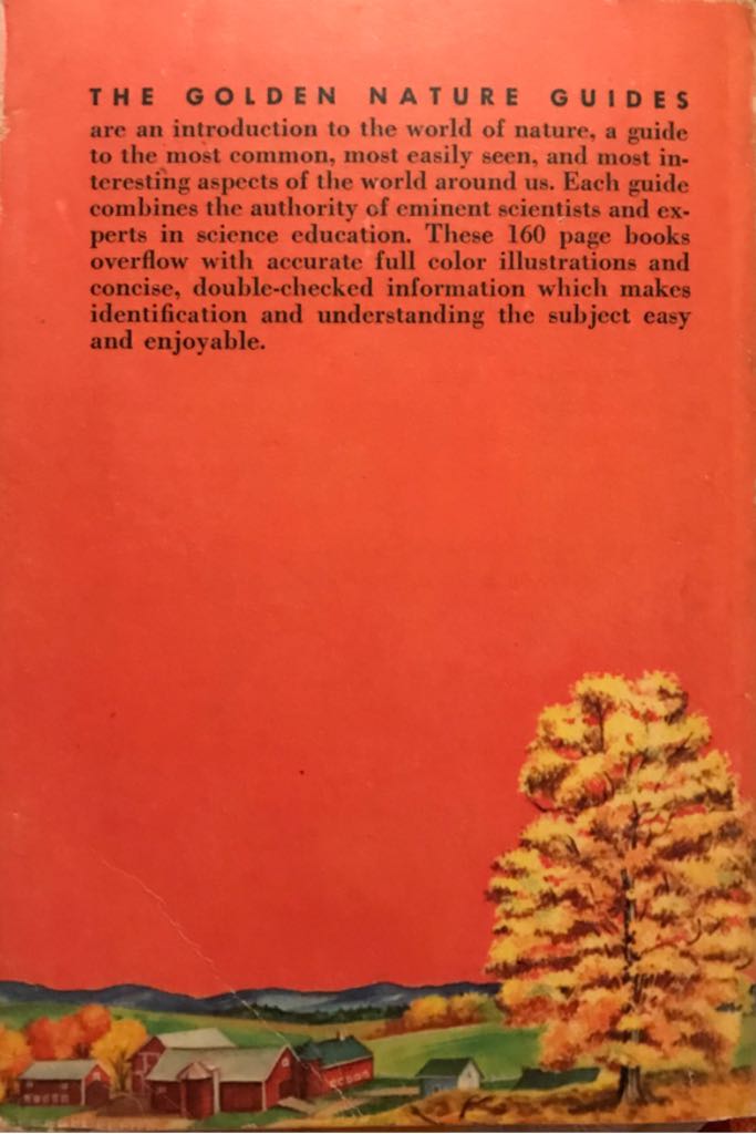 Trees - Herbert S. Zim (Golden Press - Paperback) book collectible - Main Image 2