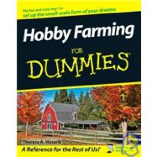 The Scots Dialect Dictionary