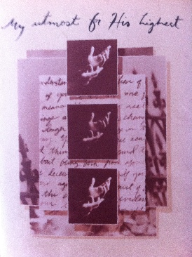 Image 3605025