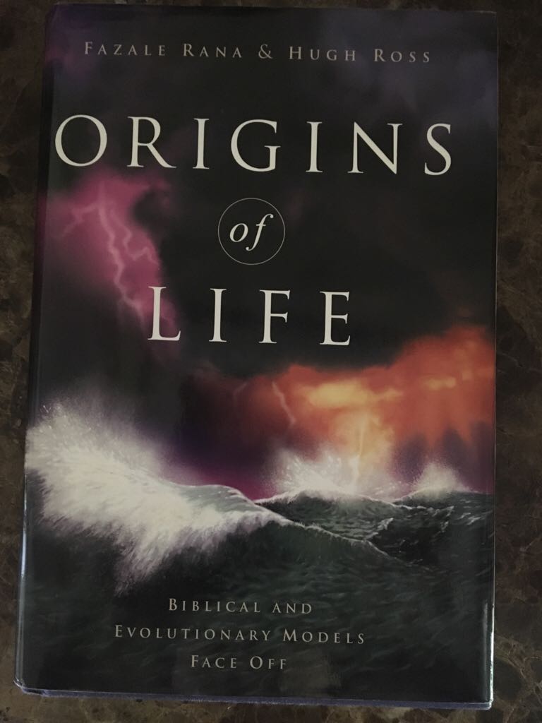Cantona: The Rebel Who Would Be King