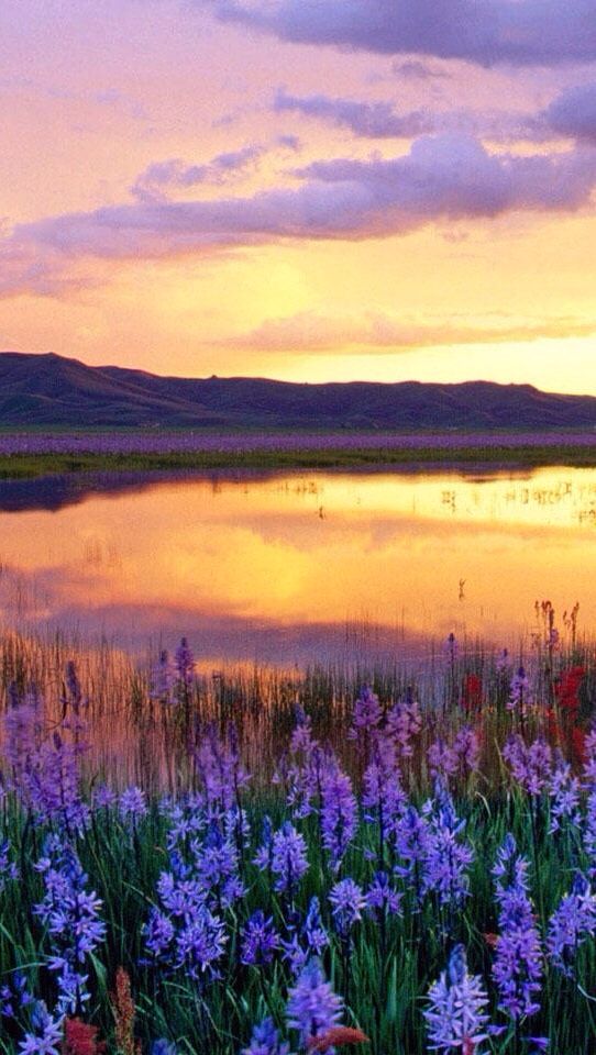 Le sourire de Mona Sourisa