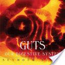 Little Miss: Little Miss Sunshine