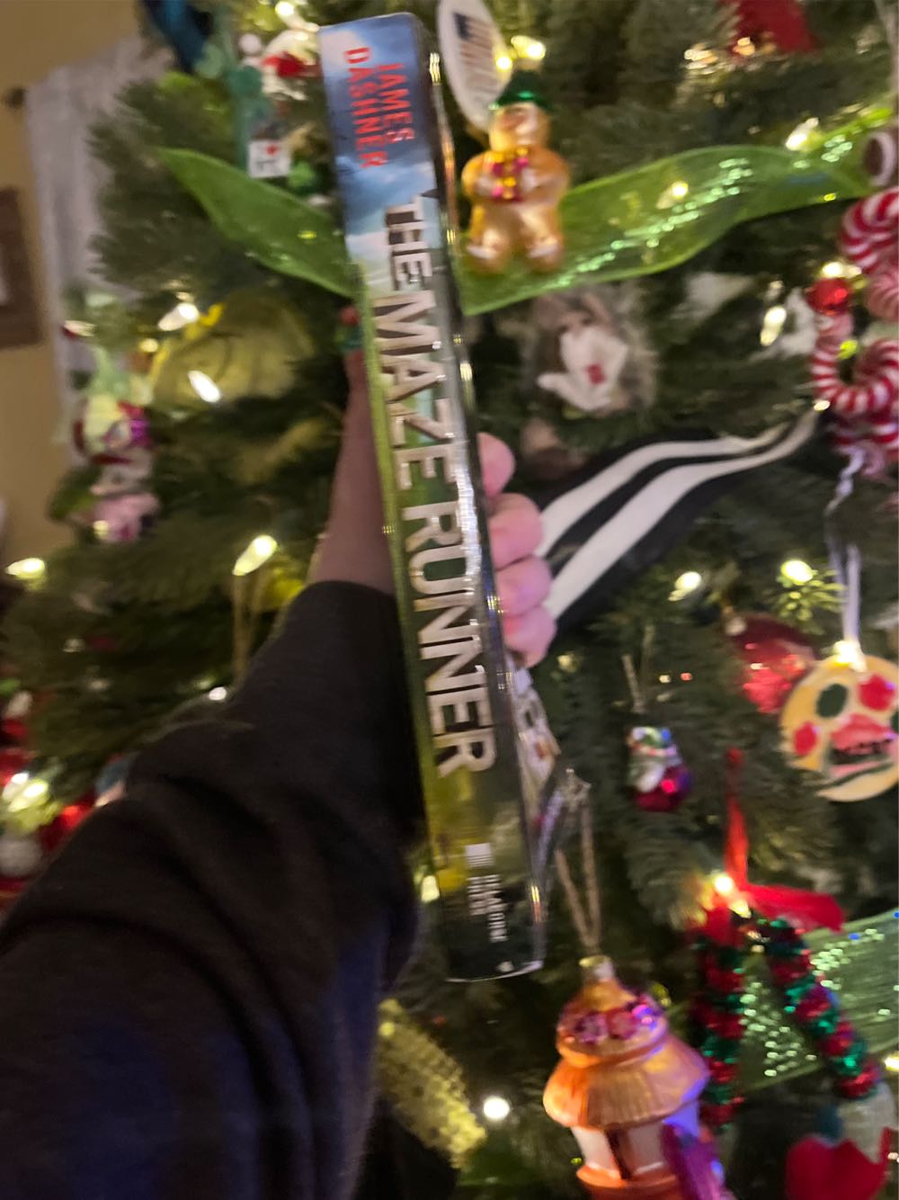 The Maze Runner - James Dashner (Delacorte Books for Young Readers - Paperback) book collectible [Barcode 9780385737951] - Main Image 3