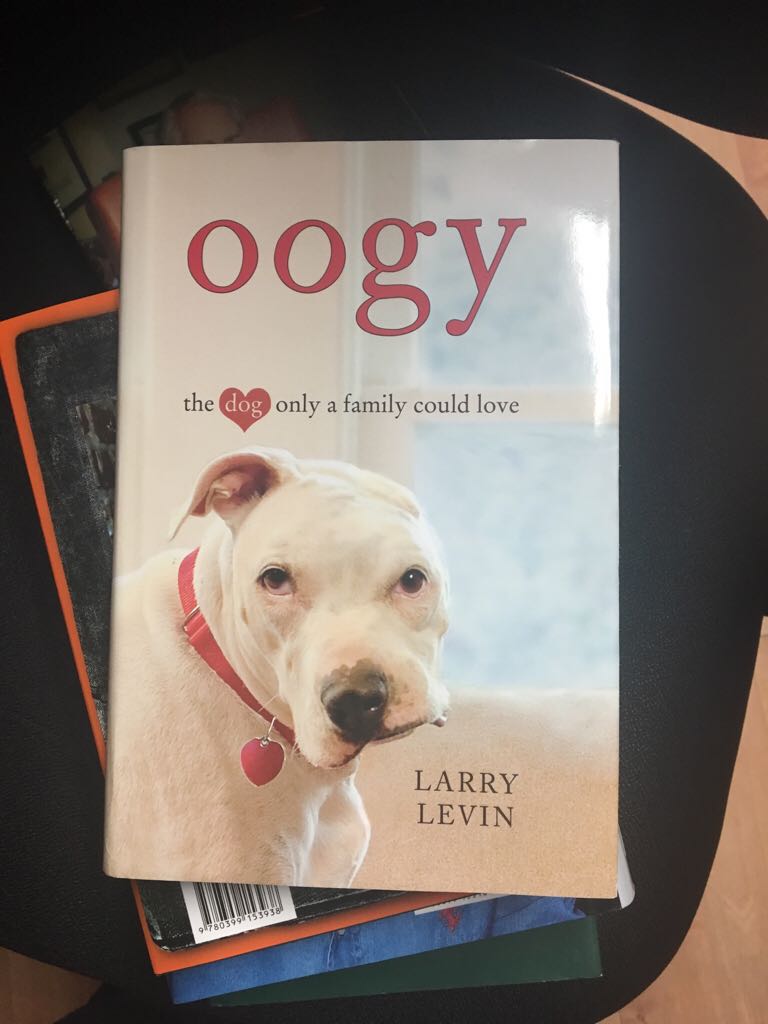 La cattedrale del mare