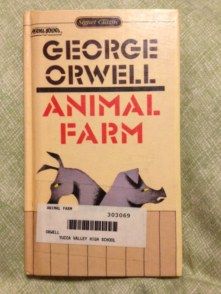 Image 3606575