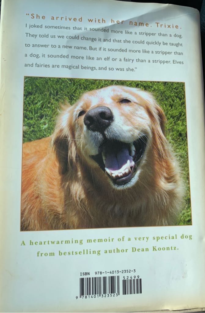 A Big Little Life - Dean Koontz (Hyperion - Hardcover) book collectible [Barcode 9781401323523] - Main Image 2