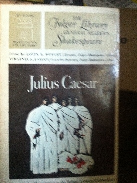 Scourge the Heretic (Dark Heresy Series)