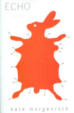 Echo - Alyson Noel (Simon) book collectible [Barcode 9781416914389] - Main Image 1