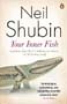 Your Inner Fish: The Amazing Discovery If Our 375-million-old Ancestor - Neil Shubin (Penguin - Paperback) book collectible [Barcode 9780141027586] - Main Image 1