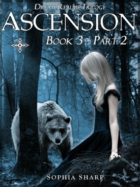 The Castle In The Attic