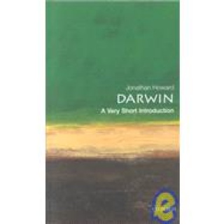 Little Miss Sunshine