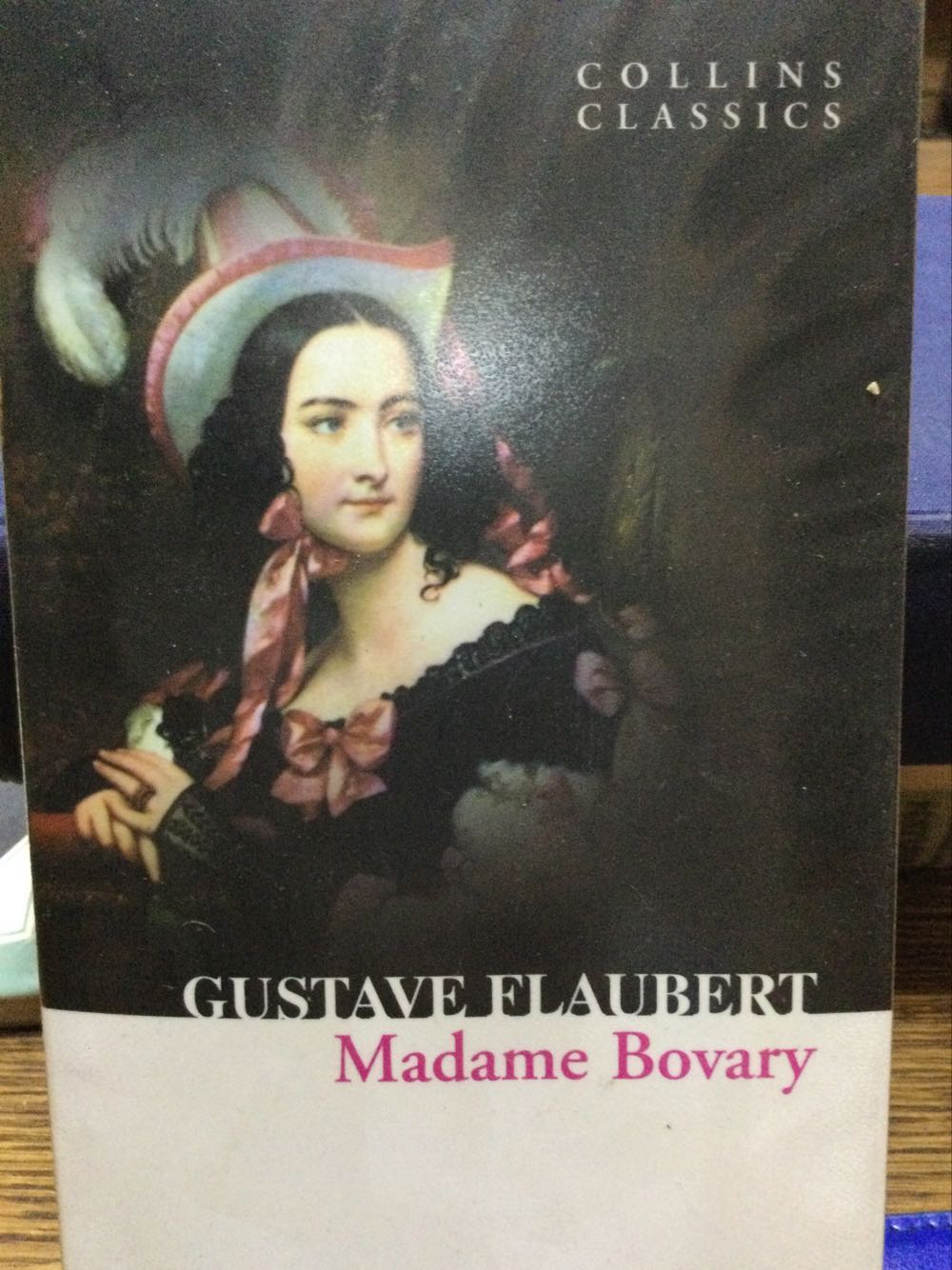 Madame Bovary - Gustave Flaubert (Random House, Inc. - Hardcover) book collectible [Barcode 9780007420308] - Main Image 3