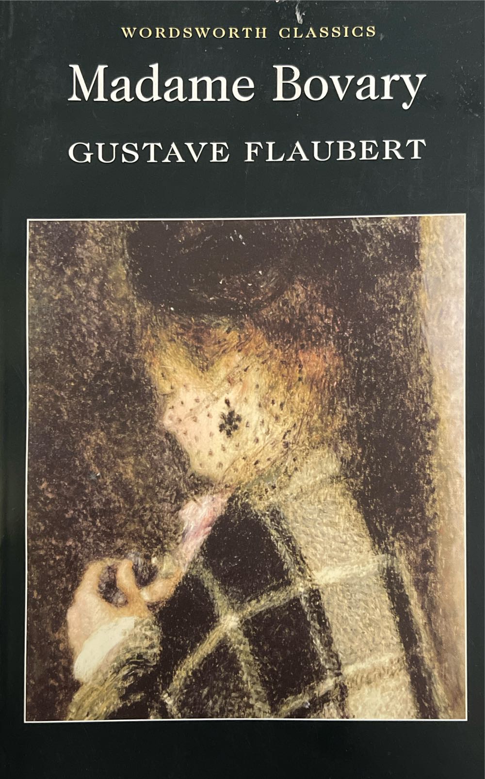 Madame Bovary - Gustave Flaubert (Wordsworth Editions - Paperback) book collectible [Barcode 9781853260780] - Main Image 3