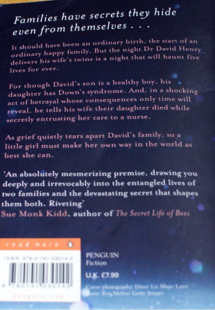 The Memory Keepers Daughter - Kim Edwards (Penguin Viking - Paperback) book collectible - Main Image 2