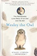 Little Miss Sunshine