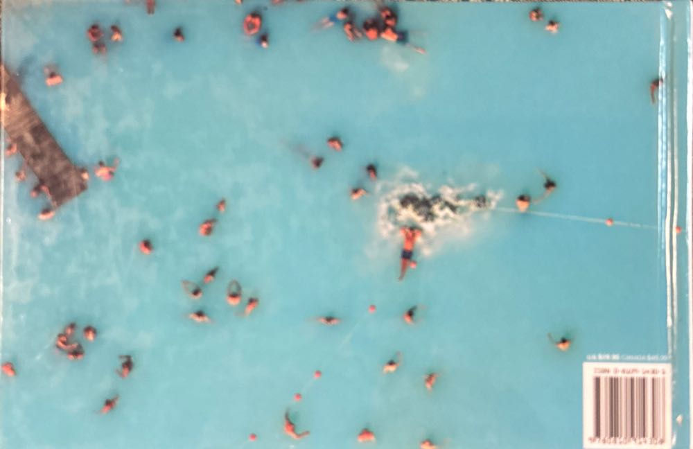 Earth from Above - Arthus-Bertrand, Yann (Harry N. Abrams - Hardcover) book collectible [Barcode 9780810914308] - Main Image 2