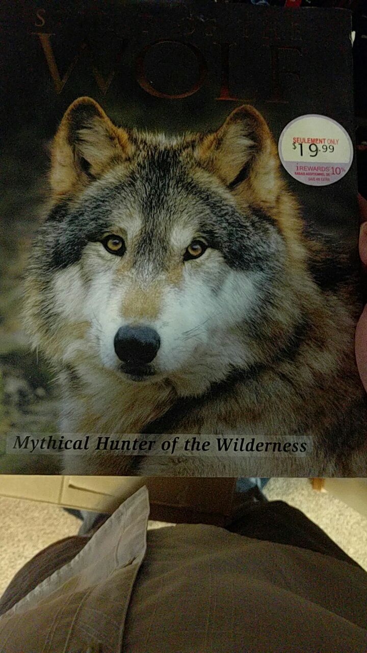 Image 3610052