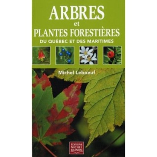 Secret Language of Birds