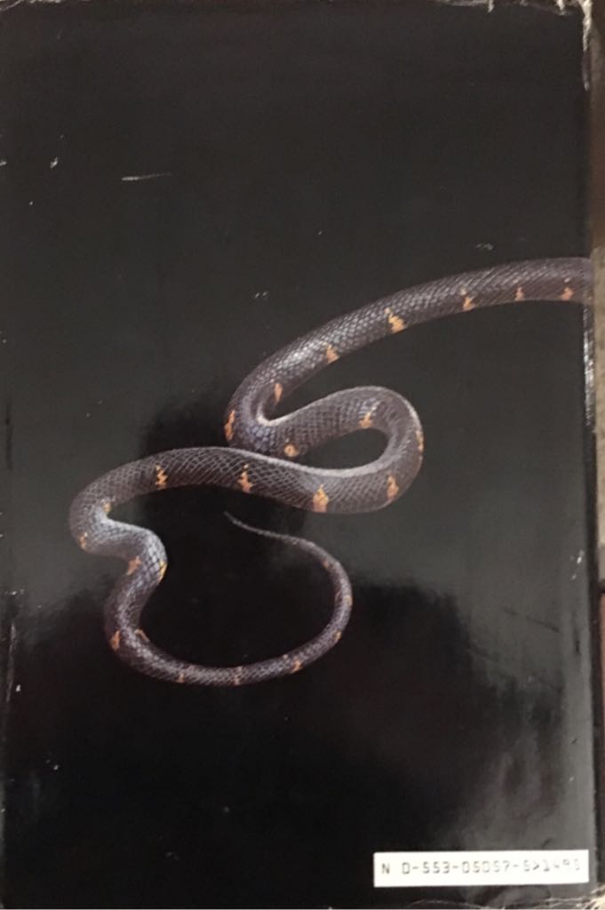 The Alchemist  (Bantam Dell Publishing Group) book collectible [Barcode 9780553050578] - Main Image 2