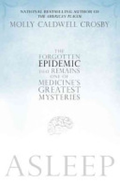 Simple, Low-Cost Electronics Projects