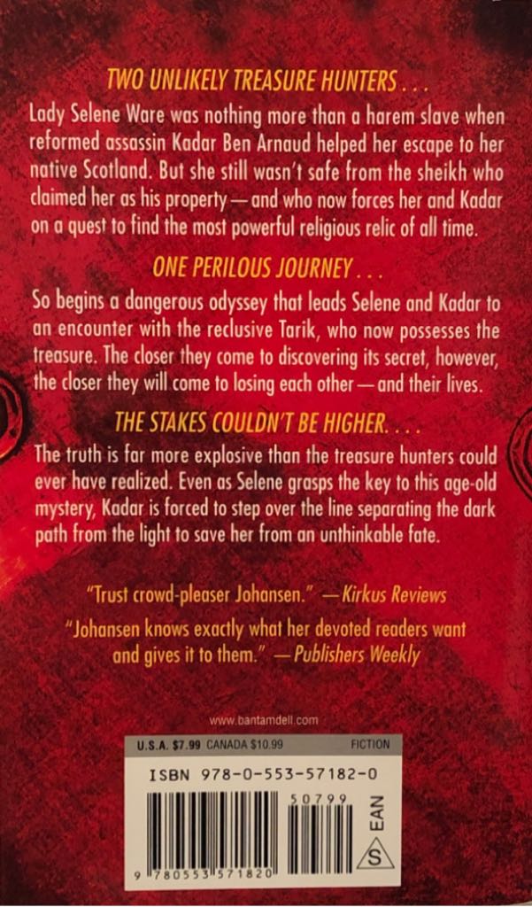 The Treasure - Iris Johansen (Bantam Books - Paperback) book collectible [Barcode 9780553571820] - Main Image 2