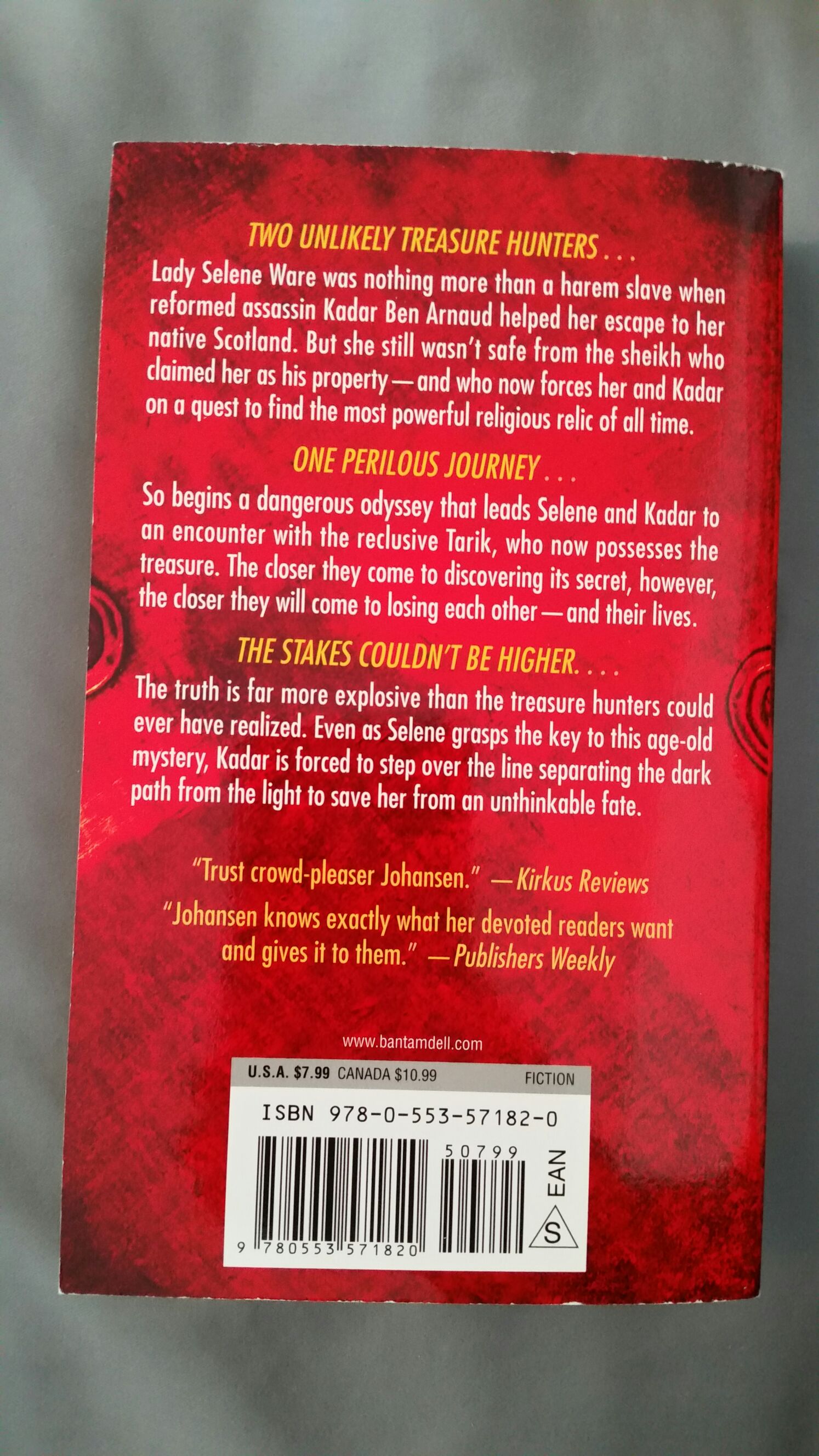 The Treasure - Iris Johansen (- Paperback) book collectible - Main Image 2