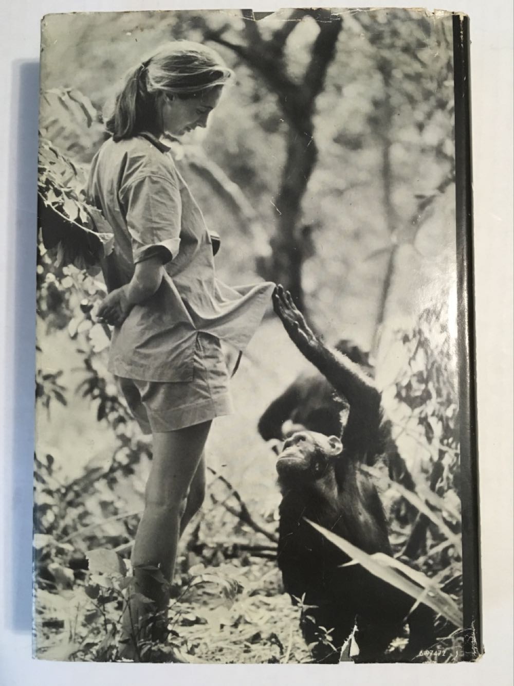 In the Shadow of Man - Jane Goodall (Mariner Books - Hardcover) book collectible [Barcode 9780395331453] - Main Image 3