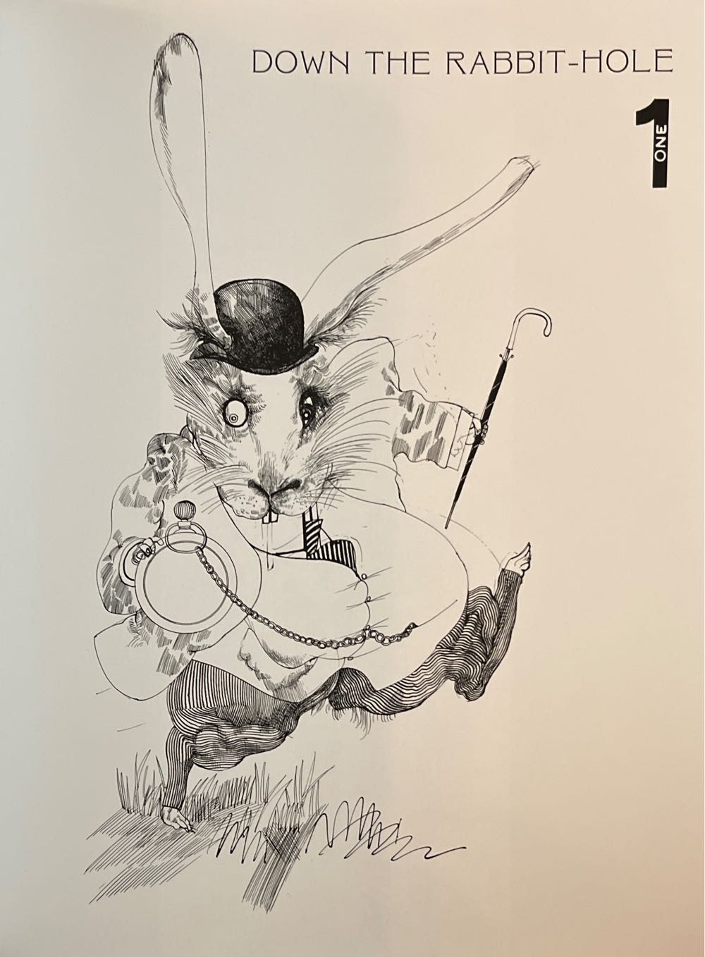 Alice in Wonderland - Lewis Carroll (Buffalo ; Toronto : Firefly Books - Paperback) book collectible [Barcode 9781554072033] - Main Image 4