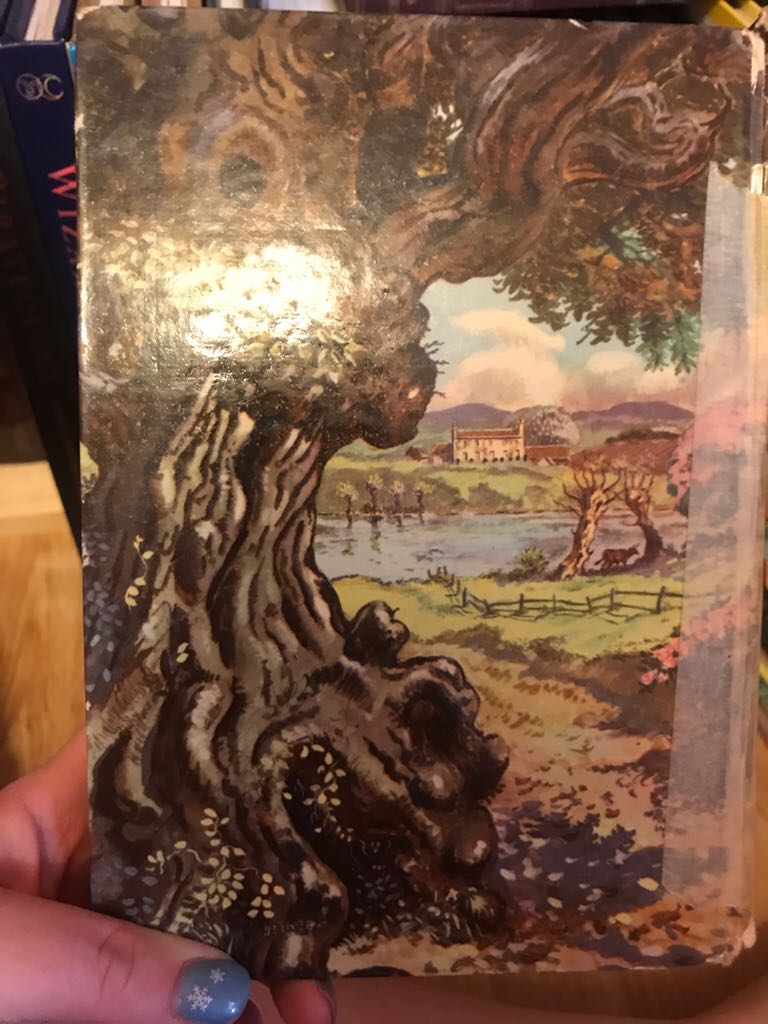 Alice in Wonderland - NA book collectible - Main Image 2