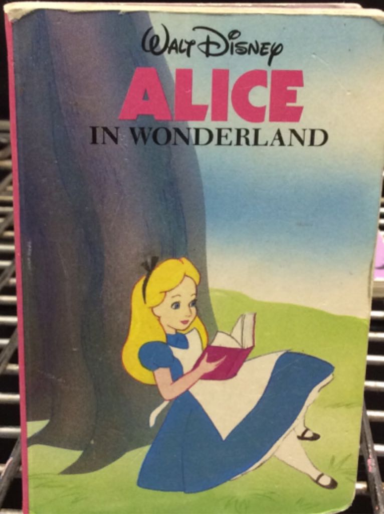 There Was an Old Lady Who Swallowed a Fly